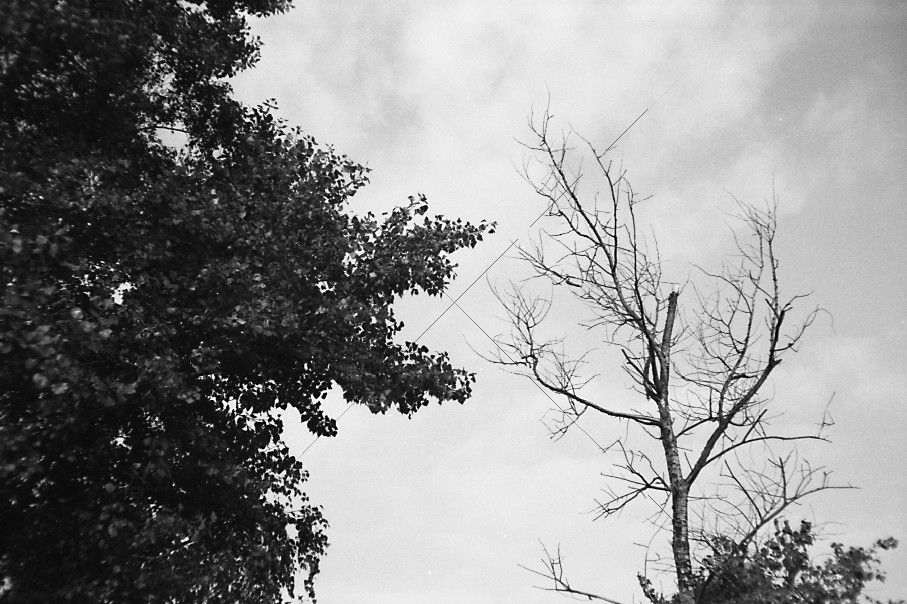 The World In Black And White 6" x 4" Photo Print