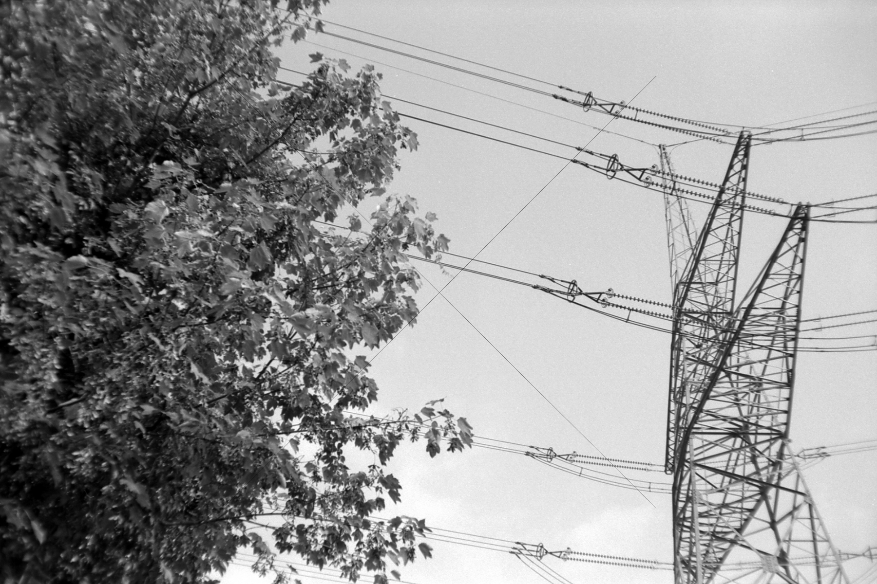 The World In Black And White 6" x 4" Photo Print