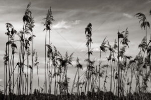 The World In Black And White 6" x 4" Photo Print