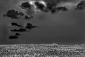 The World In Black And White 6" x 4" Photo Print