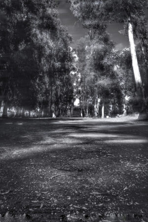 The World In Black And White 6" x 4" Photo Print