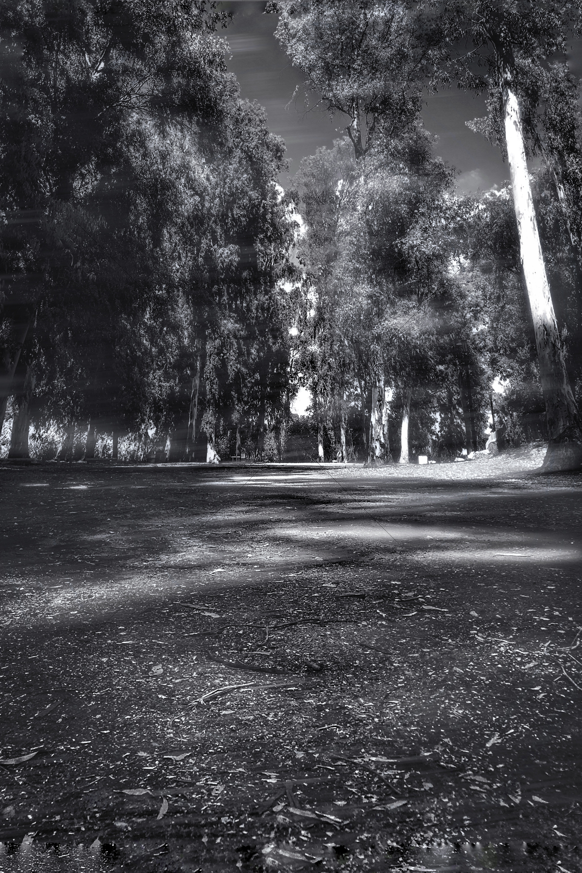 The World In Black And White 6" x 4" Photo Print