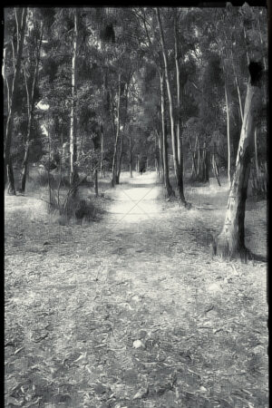 The World In Black And White 6" x 4" Photo Print