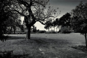 The World In Black And White 6" x 4" Photo Print