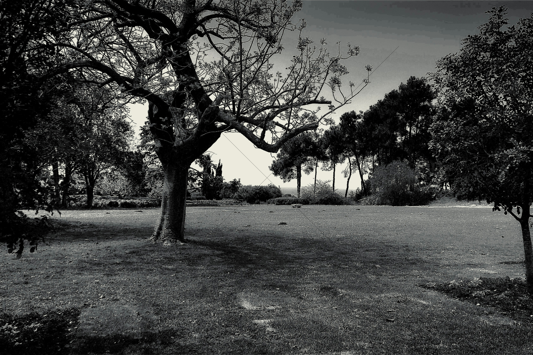 The World In Black And White 6" x 4" Photo Print