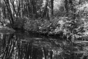 The World In Black And White 6" x 4" Photo Print