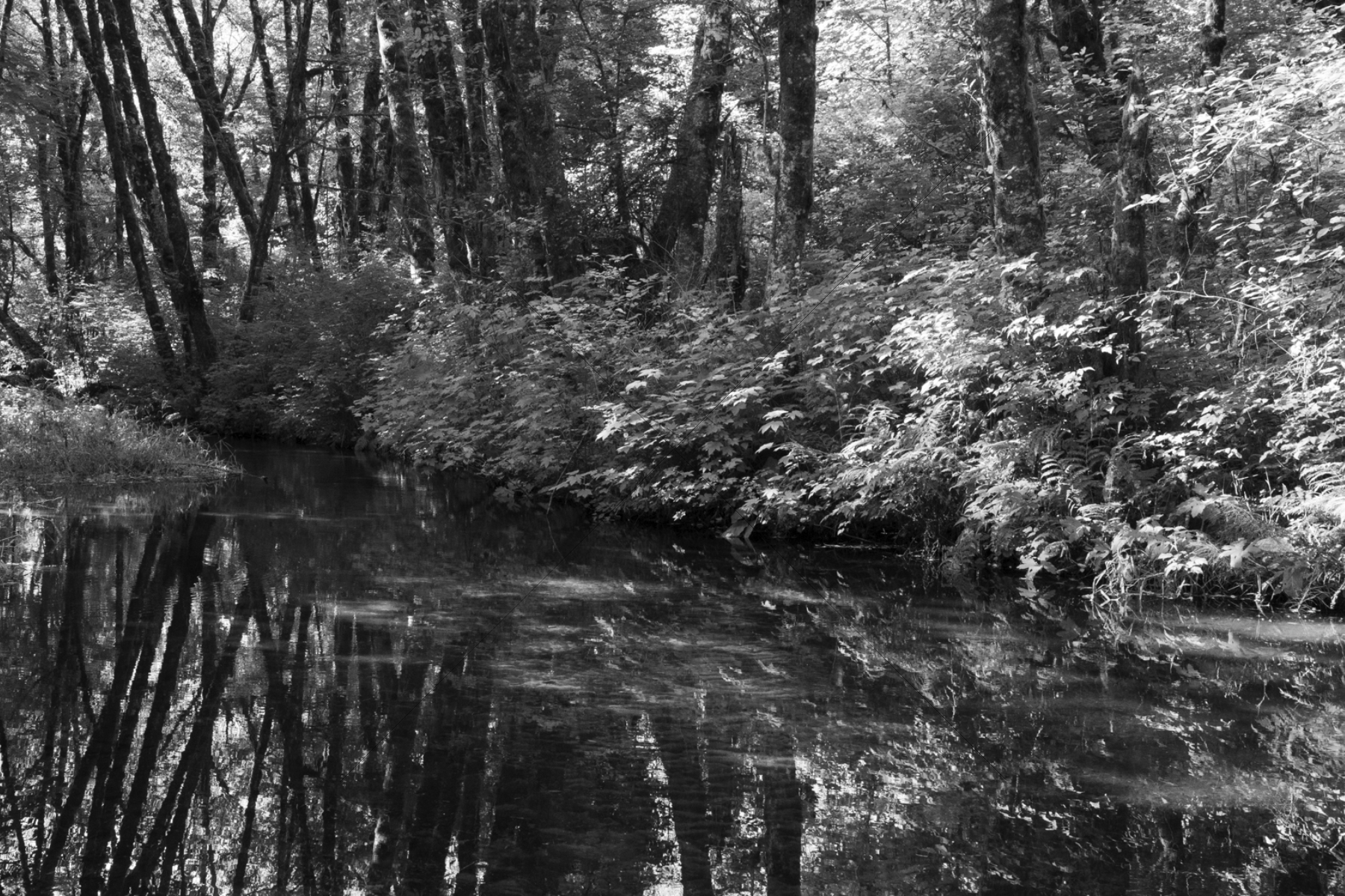 The World In Black And White 6" x 4" Photo Print