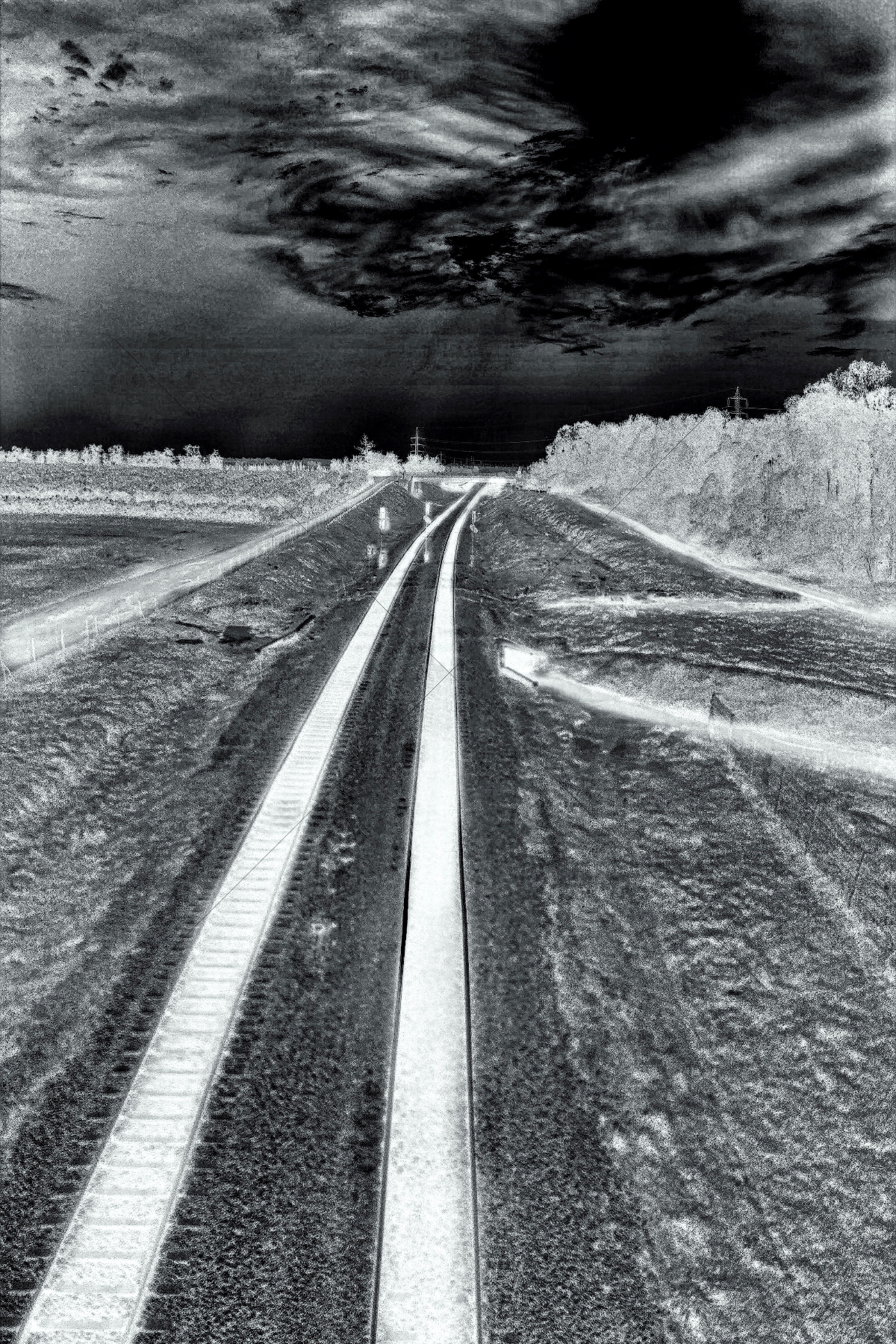 The World In Black And White 6" x 4" Photo Print