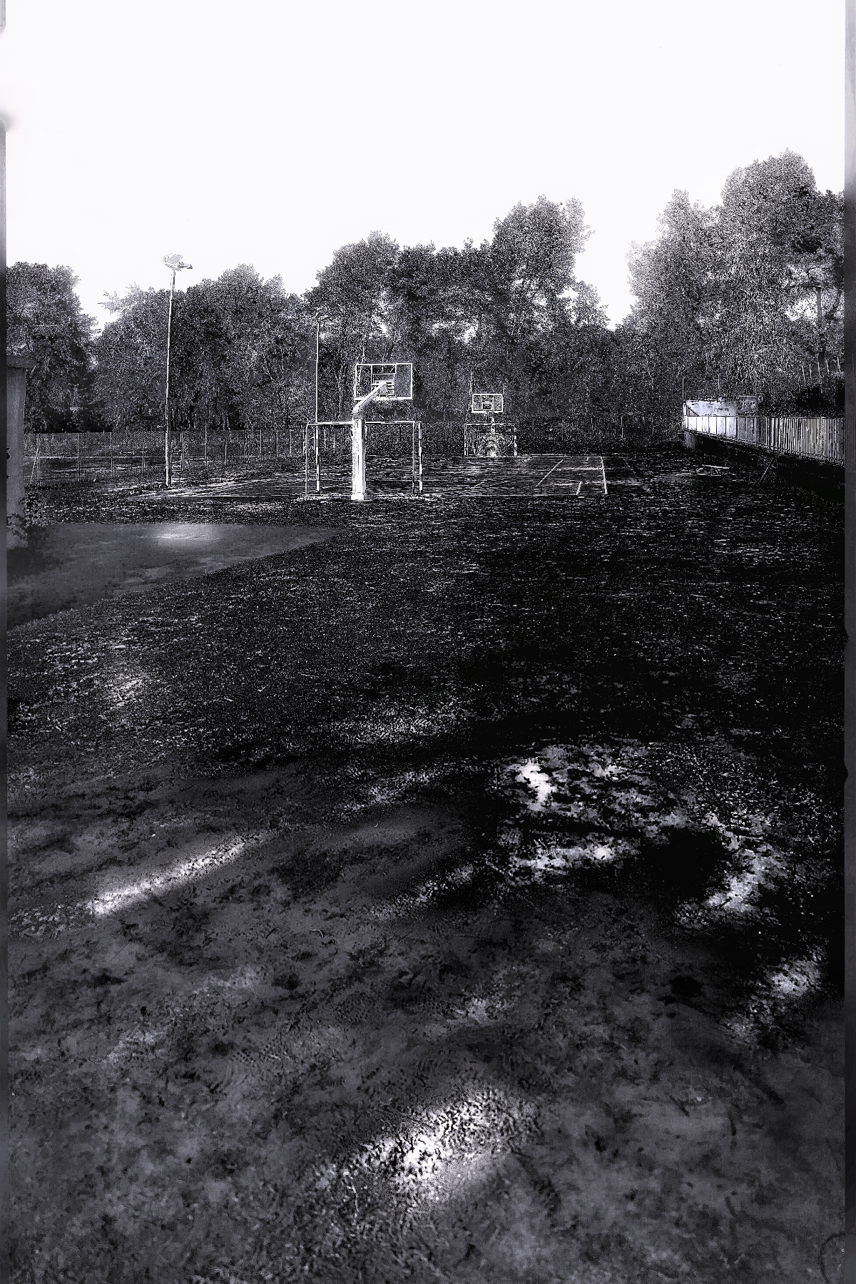 The World In Black And White 6" x 4" Photo Print