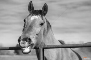 The World In Black And White 6" x 4" Photo Print