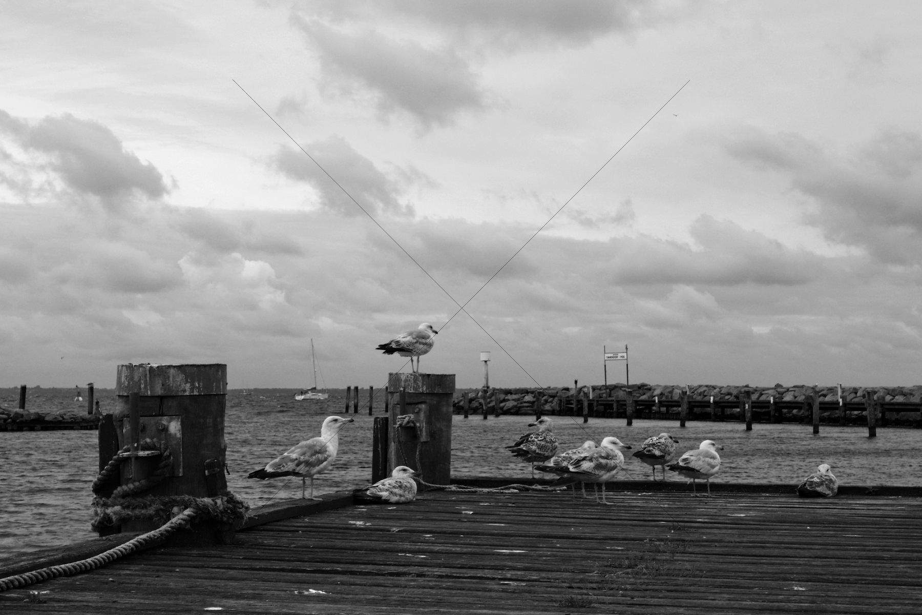 The World In Black And White 6" x 4" Photo Print