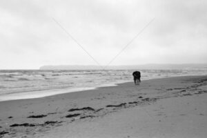 The World In Black And White 6" x 4" Photo Print