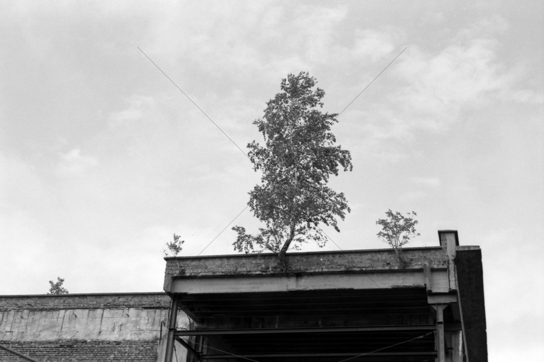 The World In Black And White 6" x 4" Photo Print