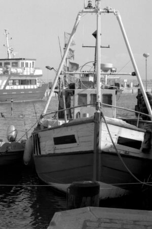 The World In Black And White 6" x 4" Photo Print