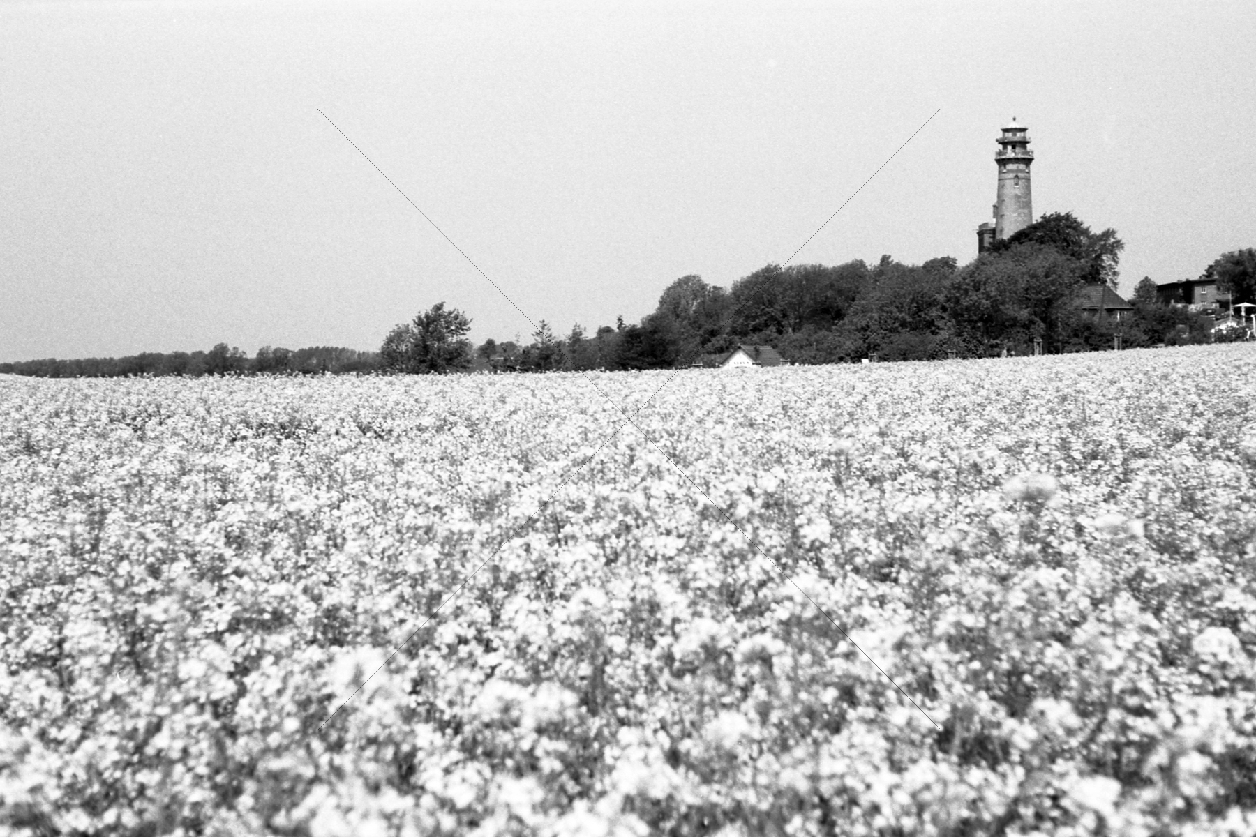 The World In Black And White 6" x 4" Photo Print