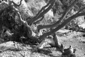 The World In Black And White 6" x 4" Photo Print