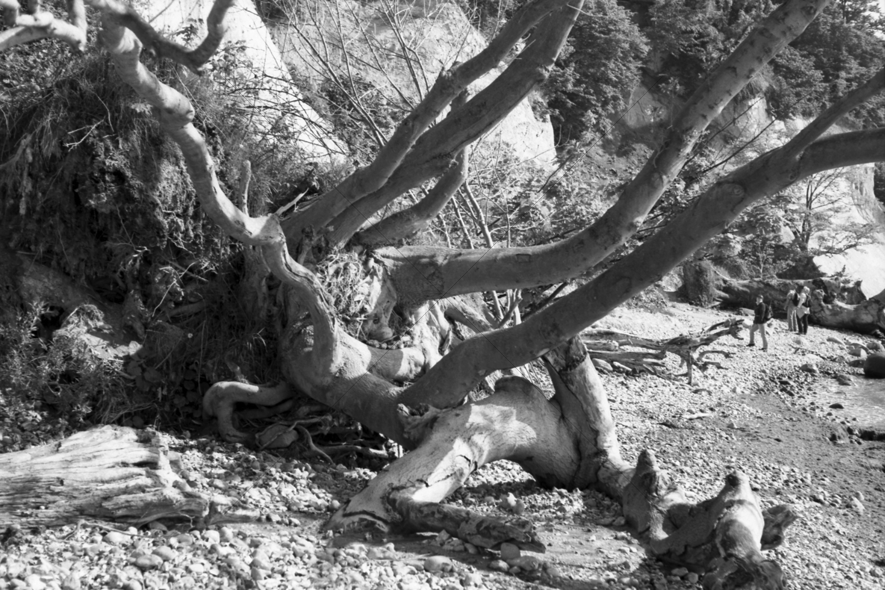 The World In Black And White 6" x 4" Photo Print