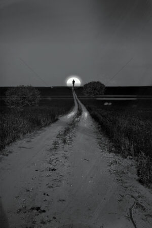 The World In Black And White 6" x 4" Photo Print