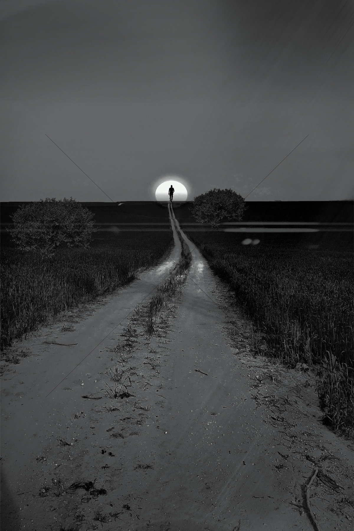 The World In Black And White 6" x 4" Photo Print