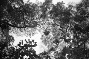 The World In Black And White 6" x 4" Photo Print