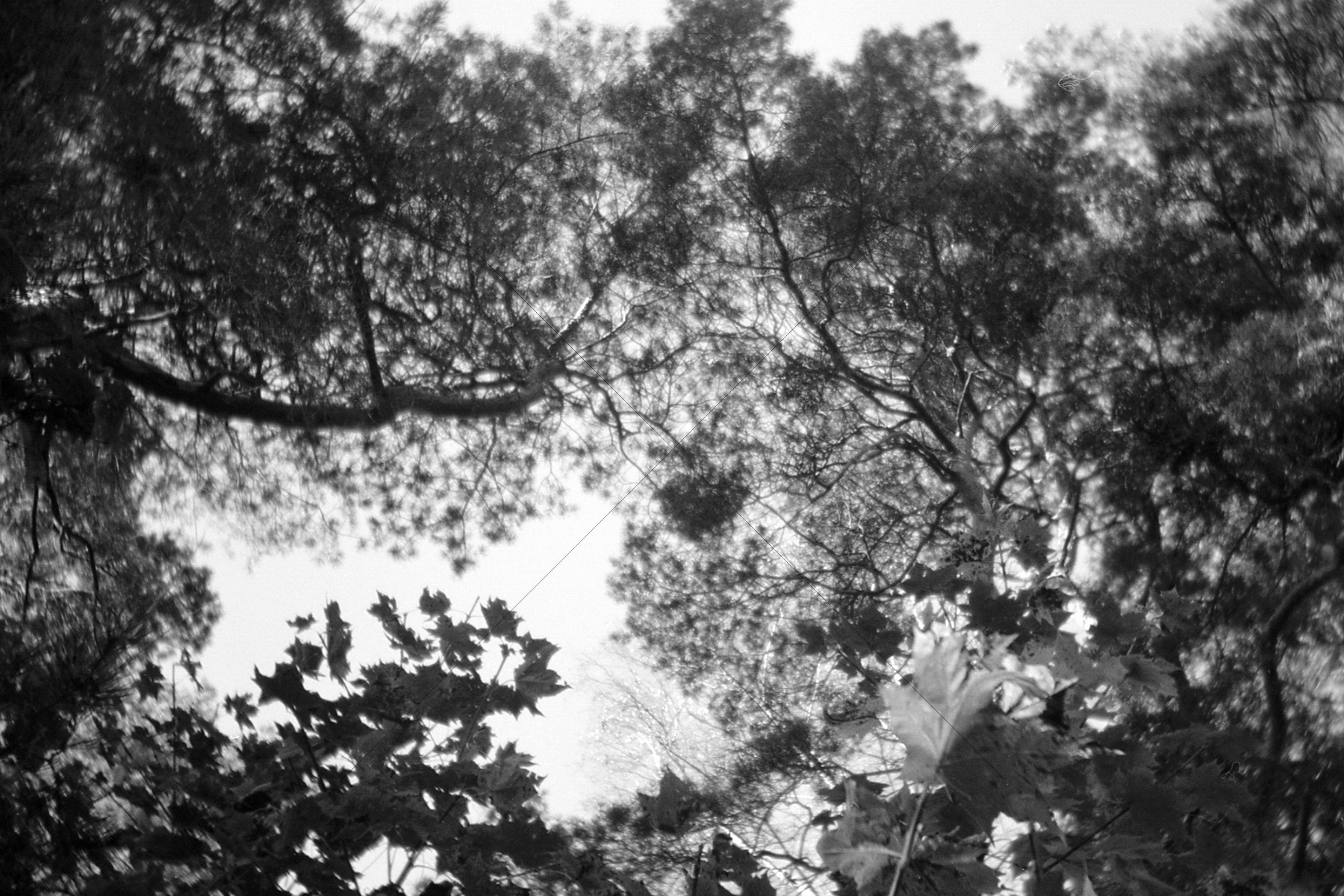 The World In Black And White 6" x 4" Photo Print