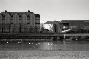 The World In Black And White 6" x 4" Photo Print