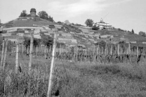 The World In Black And White 6" x 4" Photo Print