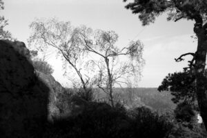 The World In Black And White 6" x 4" Photo Print