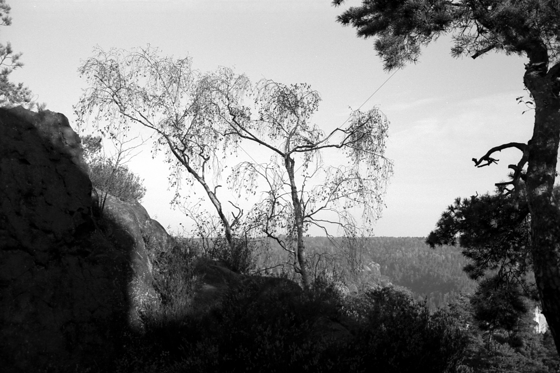 The World In Black And White 6" x 4" Photo Print