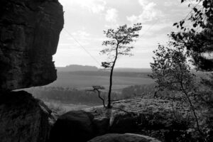 The World In Black And White 6" x 4" Photo Print