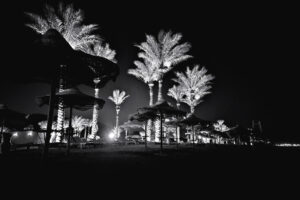 The World In Black And White 6" x 4" Photo Print