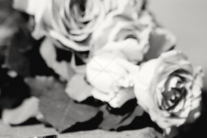 The World In Black And White 6" x 4" Photo Print