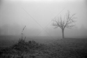 The World In Black And White 6" x 4" Photo Print