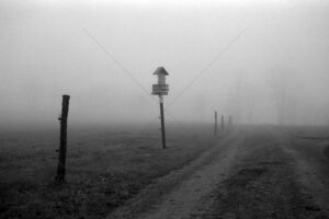 The World In Black And White 6" x 4" Photo Print