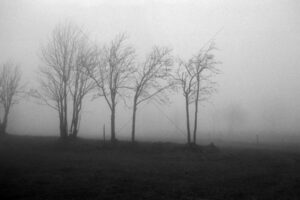 The World In Black And White 6" x 4" Photo Print