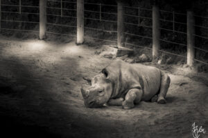 The World In Black And White 6" x 4" Photo Print