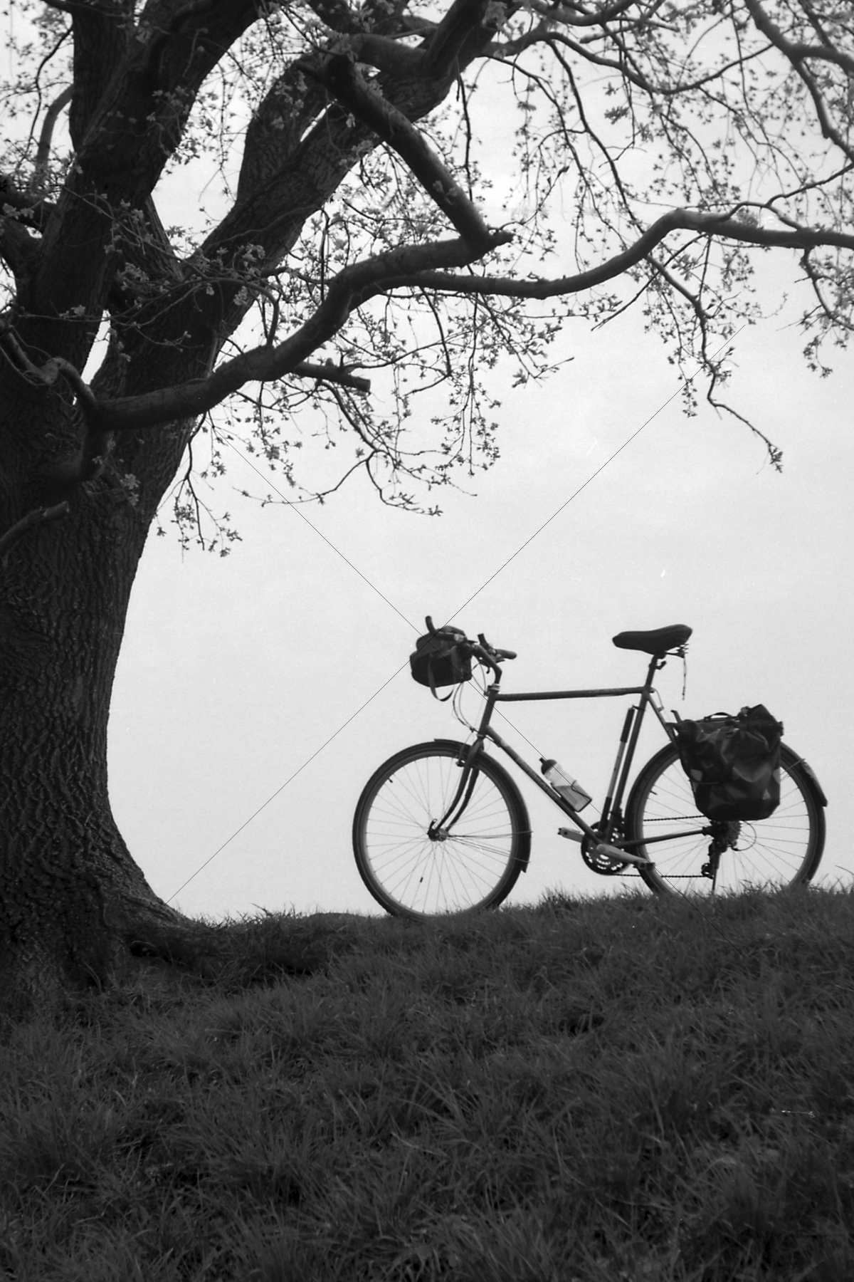 The World In Black And White 6" x 4" Photo Print