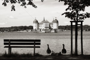 The World In Black And White 6" x 4" Photo Print