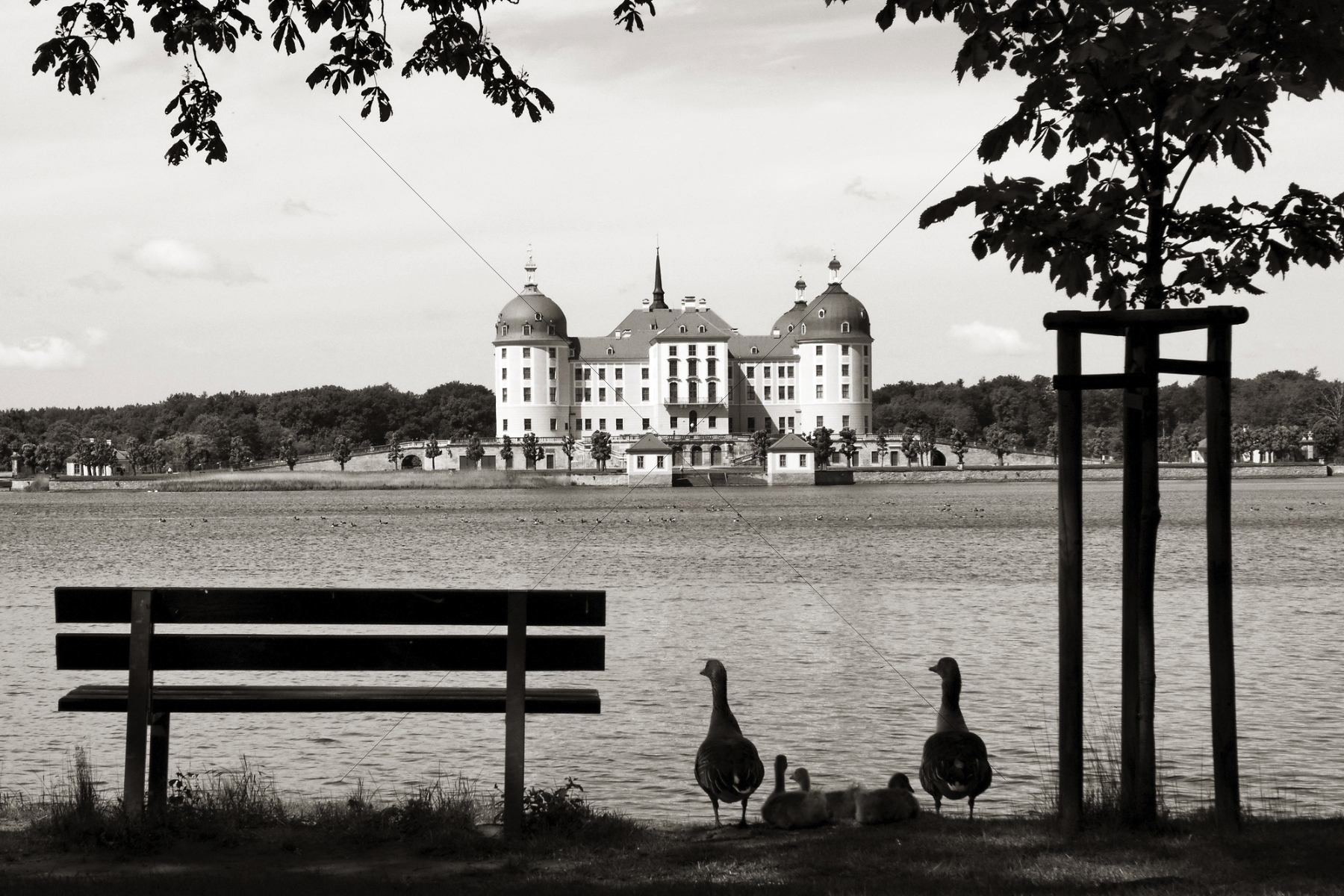 The World In Black And White 6" x 4" Photo Print