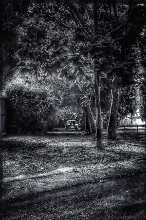 The World In Black And White 6" x 4" Photo Print