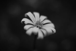 The World In Black And White 6" x 4" Photo Print