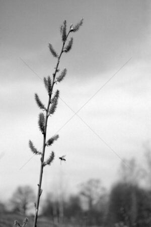 The World In Black And White 6" x 4" Photo Print