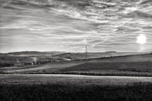 The World In Black And White 6" x 4" Photo Print