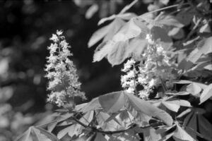 The World In Black And White 6" x 4" Photo Print