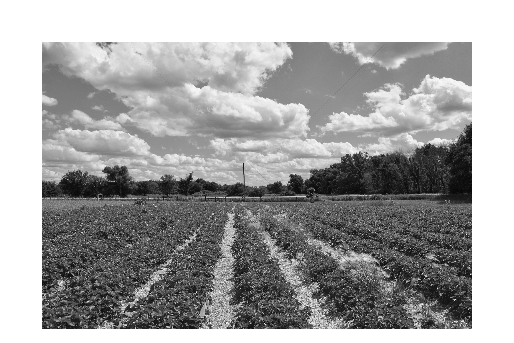 The World In Black And White 6" x 4" Photo Print