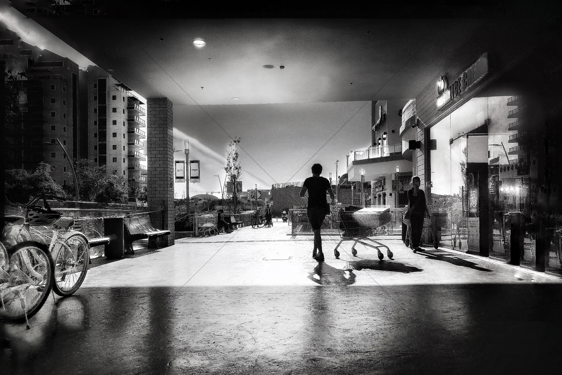 The World In Black And White 6" x 4" Photo Print