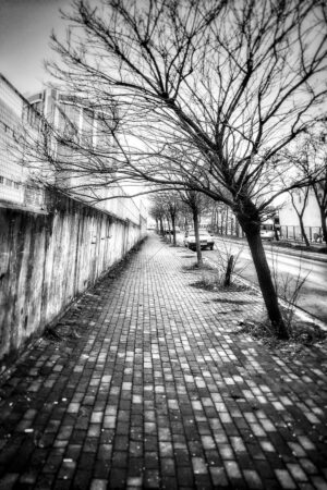 The World In Black And White 6" x 4" Photo Print