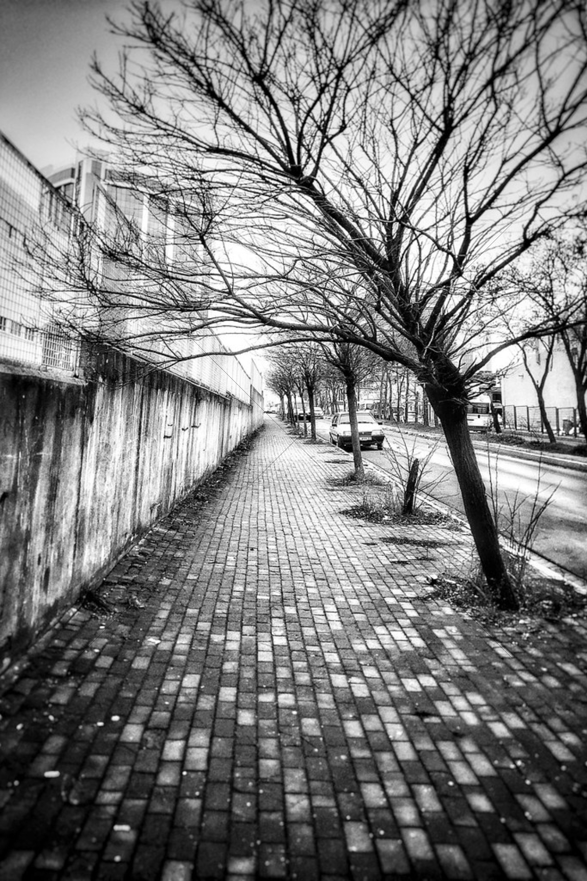 The World In Black And White 6" x 4" Photo Print