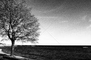 The World In Black And White 6" x 4" Photo Print