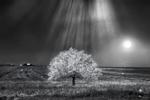 The World In Black And White 6" x 4" Photo Print